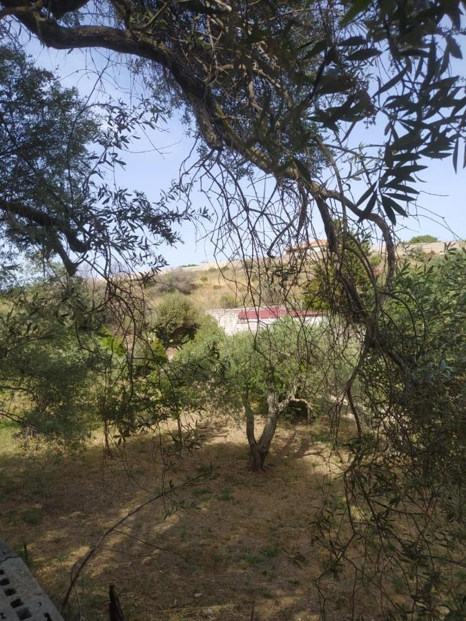 הוילה סורסו Casa Olea מראה חיצוני תמונה