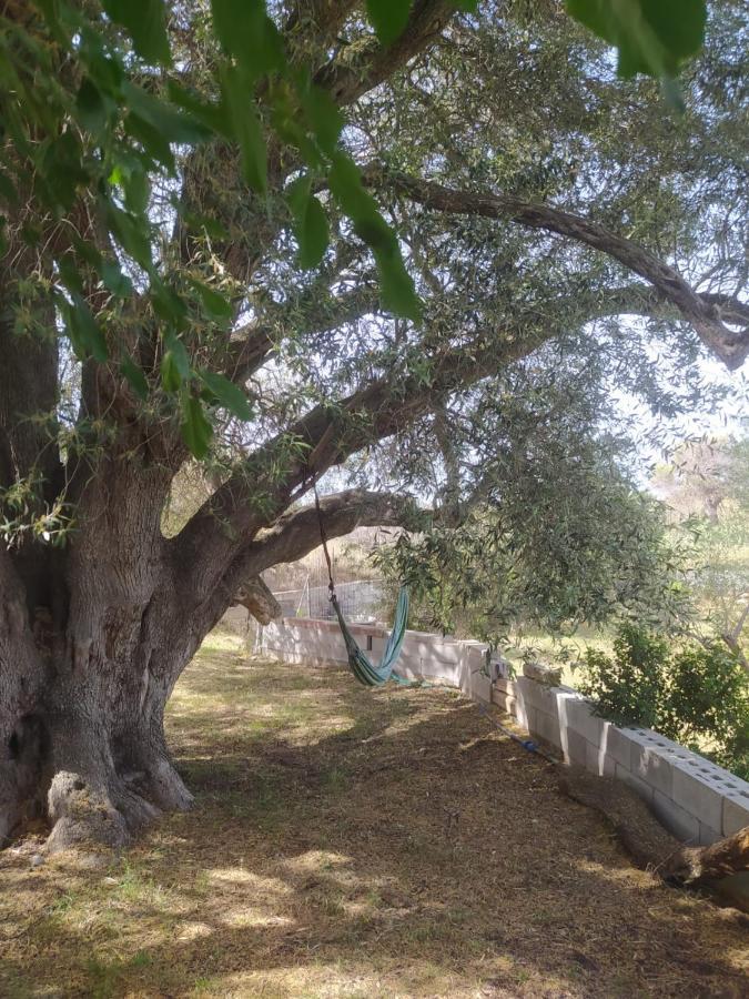 הוילה סורסו Casa Olea מראה חיצוני תמונה